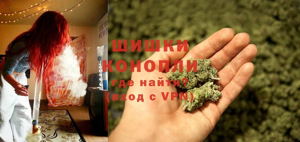 винт Болохово