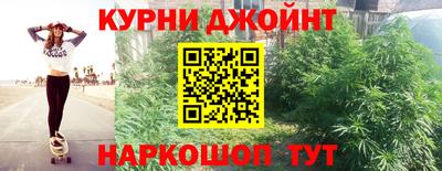 шишки Ставрополь